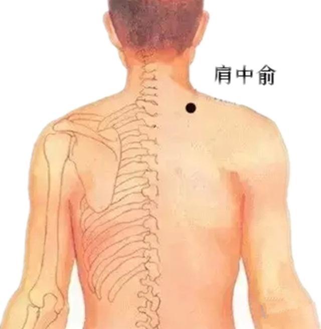 肩内俞的准确位置图图片